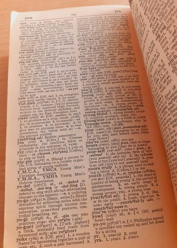 Webster's New World Sözlüğü, Güncellenmiş - Görsel 4