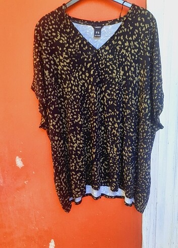 Lindex penye
