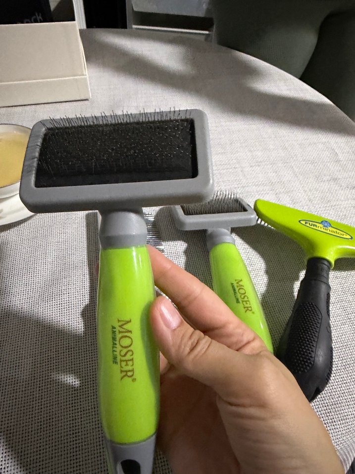 MOSER Yeşil Kedi Tüy Bakım Seti - Görsel 2