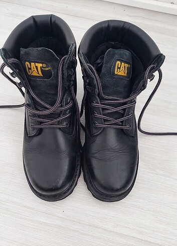 Orjinal Cat bayan bot