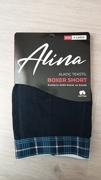 Alvina Erkek boxer short.