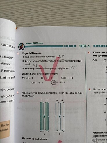 Palme Yayınları 10. Sınıf Biyoloji Soru Bankası - Görsel 3