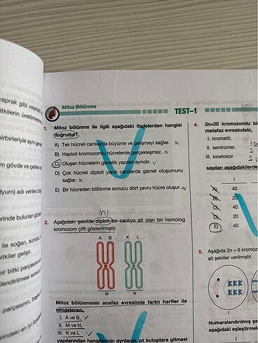 Palme Yayınları 10. Sınıf Biyoloji Soru Bankası - Görsel 2