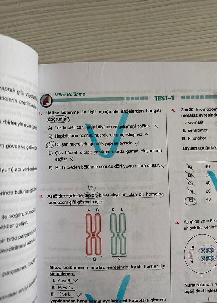 Palme Yayınları 10. Sınıf Biyoloji Soru Bankası - Görsel 2