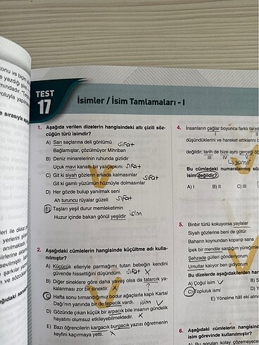 Çap Yayınları 10. Sınıf Türk Dili ve Edebiyatı Soru Bankası - Görsel 3
