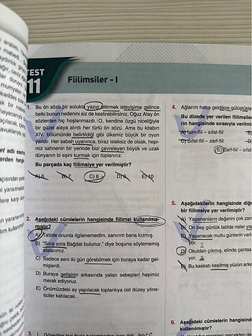 Çap Yayınları 10. Sınıf Türk Dili ve Edebiyatı Soru Bankası - Görsel 5