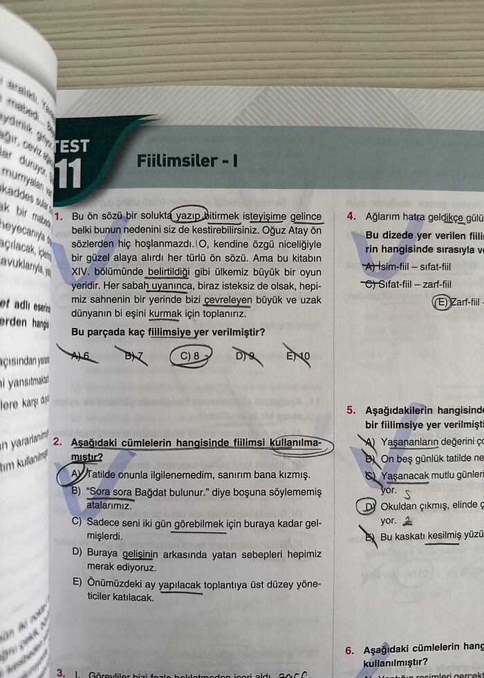 Çap Yayınları 10. Sınıf Türk Dili ve Edebiyatı Soru Bankası - Görsel 5