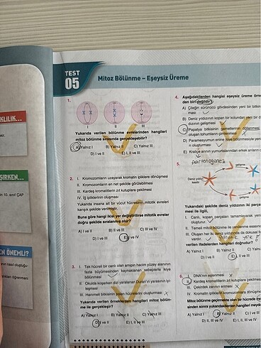 Çap Yayınları 10. Sınıf Biyoloji Soru Bankası - Görsel 2
