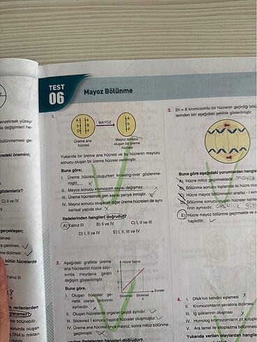 Çap Yayınları 10. Sınıf Biyoloji Soru Bankası - Görsel 3