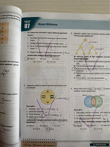 Çap Yayınları 10. Sınıf Biyoloji Soru Bankası - Görsel 4