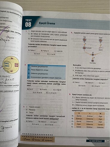 Çap Yayınları 10. Sınıf Biyoloji Soru Bankası - Görsel 5