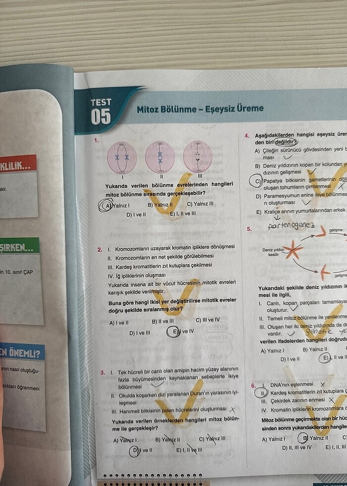Çap Yayınları 10. Sınıf Biyoloji Soru Bankası - Görsel 2