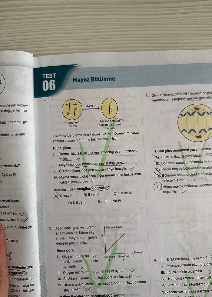 Çap Yayınları 10. Sınıf Biyoloji Soru Bankası - Görsel 3