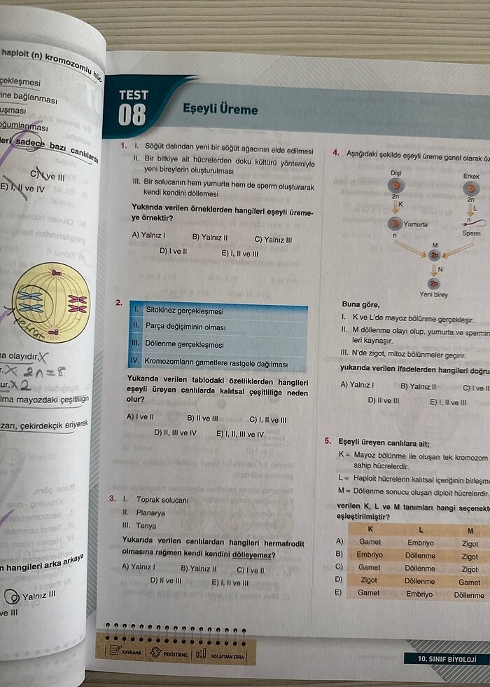 Çap Yayınları 10. Sınıf Biyoloji Soru Bankası - Görsel 5