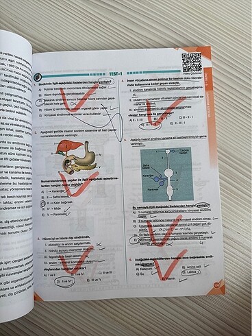 Palme Yayınları 11. Sınıf Biyoloji Soru Bankası - Görsel 3