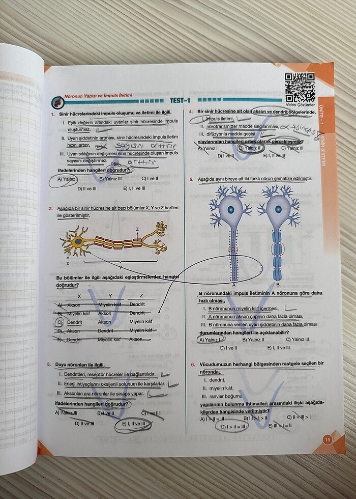 Palme Yayınları 11. Sınıf Biyoloji Soru Bankası - Görsel 2