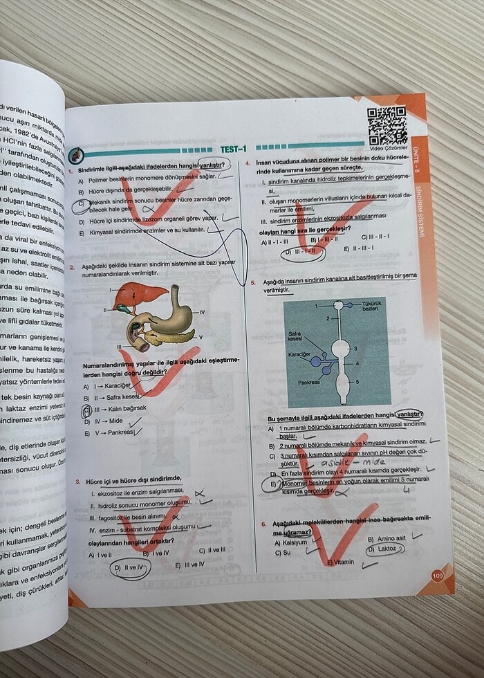 Palme Yayınları 11. Sınıf Biyoloji Soru Bankası - Görsel 3