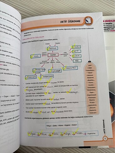 Çap Yayınları 9. Sınıf Biyoloji Fasikülü - Görsel 3