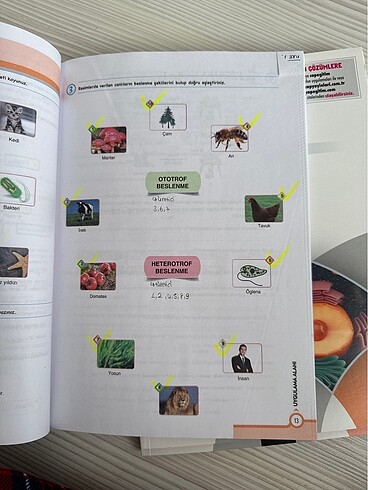 Çap Yayınları 9. Sınıf Biyoloji Fasikülü - Görsel 4