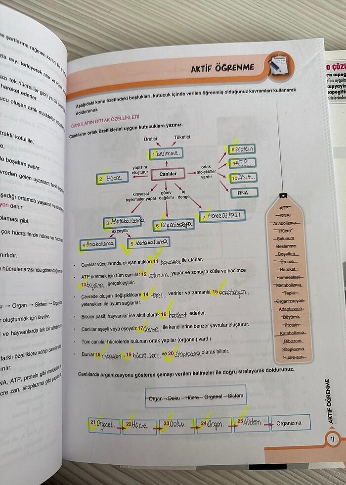 Çap Yayınları 9. Sınıf Biyoloji Fasikülü - Görsel 3
