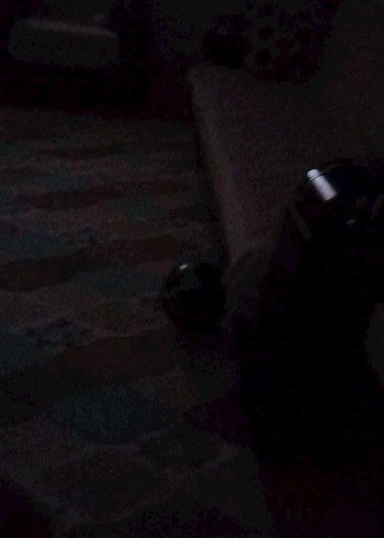 Tokalı Koyu Süet Kadın Dolgu Topuk Bot - Görsel 7