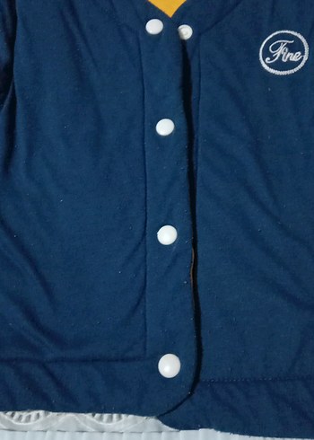 Mavi Düğmeli Erkek Yelek - Görsel 3