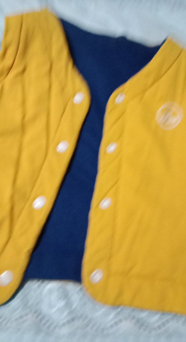 Mavi Düğmeli Erkek Yelek - Görsel 5