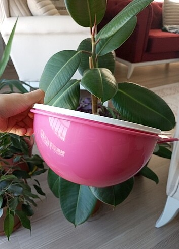 Beden pembe Renk Tupperware mixim