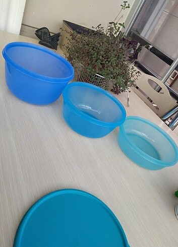 Tupperware Tupperware Mucize Kap