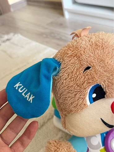 Beden Renk Fisher price eğitici köpekçik