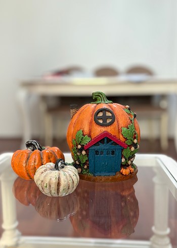 Turuncu Kabak Ev Dekoru - Görsel 2