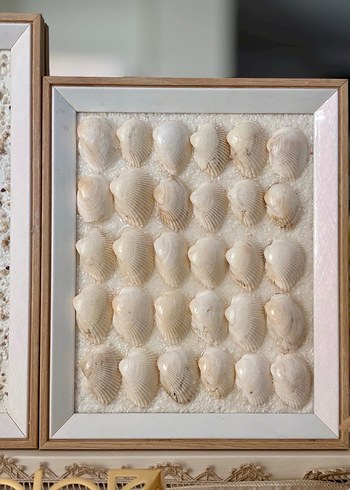 Deniz kabuklu beyaz tablo/çerçeve. - Görsel 2