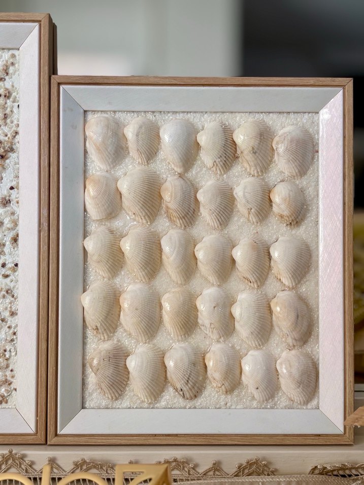 Deniz kabuklu beyaz tablo/çerçeve. - Görsel 2
