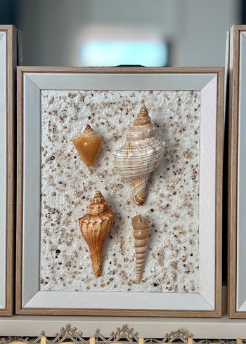 Beyaz Çerçeveli Deniz Kabuğu Dekorları - Görsel 2