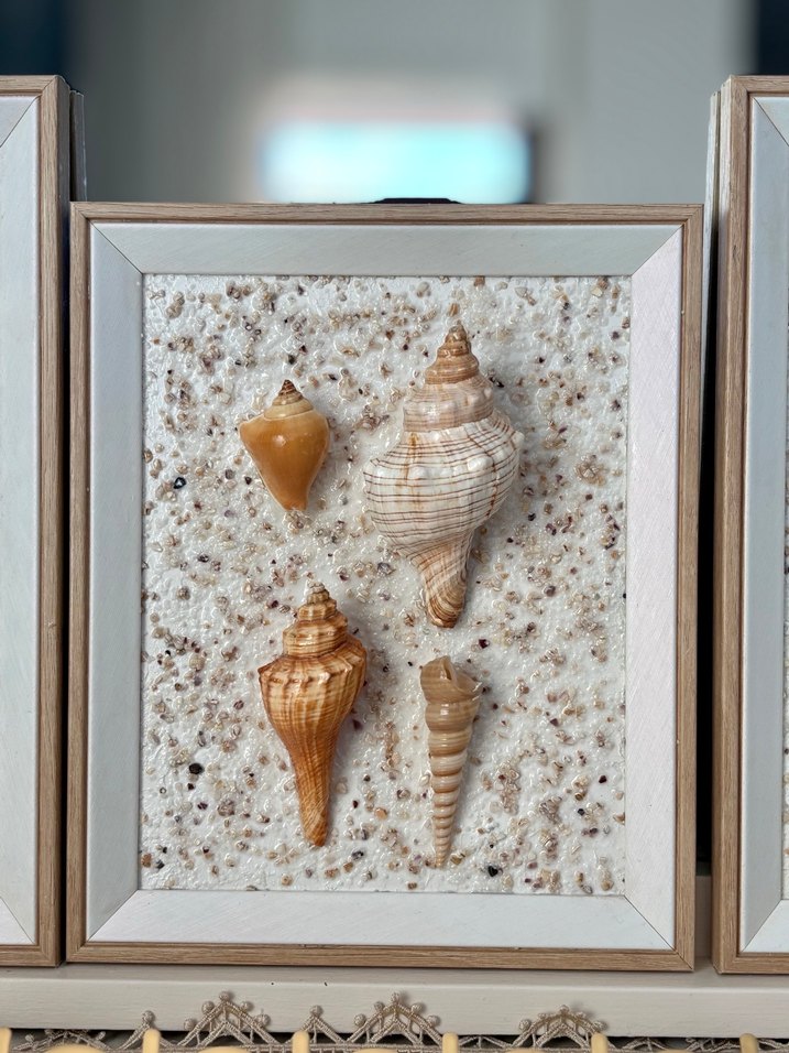 Beyaz Çerçeveli Deniz Kabuğu Dekorları - Görsel 2