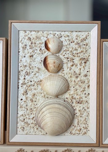 Beyaz Çerçeveli Deniz Kabuğu Dekoru - Görsel 2