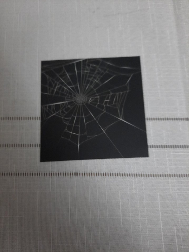 Serzeniş Vebal - Sümeyye Koç - Görsel 3