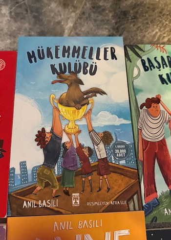 Beden Renk Anıl Baslı Çocuk Kitapları Seti 10 adet