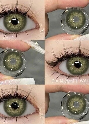 Muhteşem yeşil lens