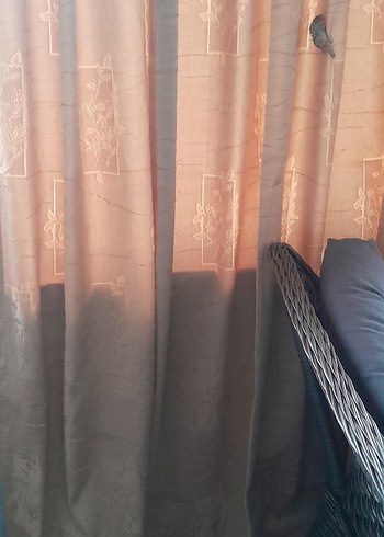 Parlak Bej Konvansiyonel Perde - Görsel 2