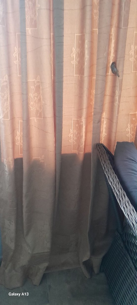 Parlak Bej Konvansiyonel Perde - Görsel 2