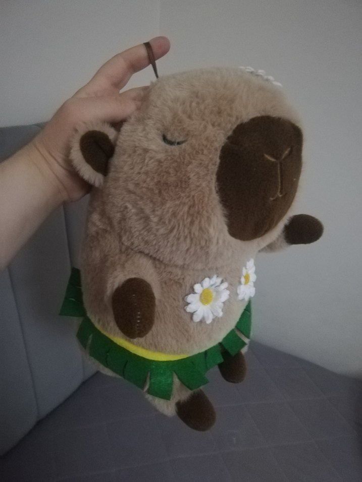 Capibara Peluş Oyuncak - Görsel 5