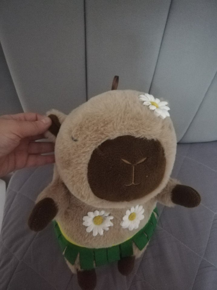 Capibara Peluş Oyuncak - Görsel 2