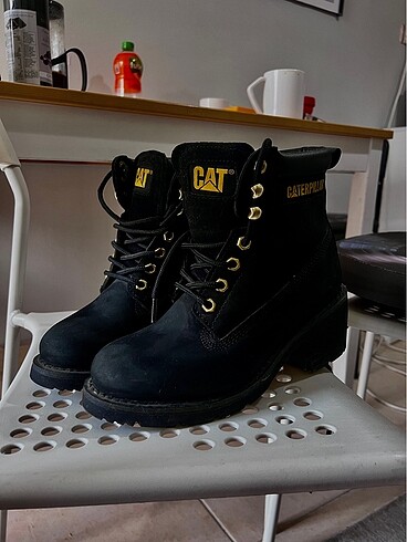 38 Beden CAT BOT