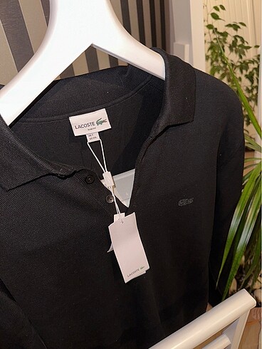 Lacoste erkek Polo yaka triko