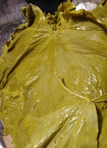 Paşabahçe Asma Yaprağı Üzüm Erbaa