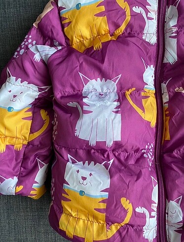 Diğer MONT Kedi Desenli