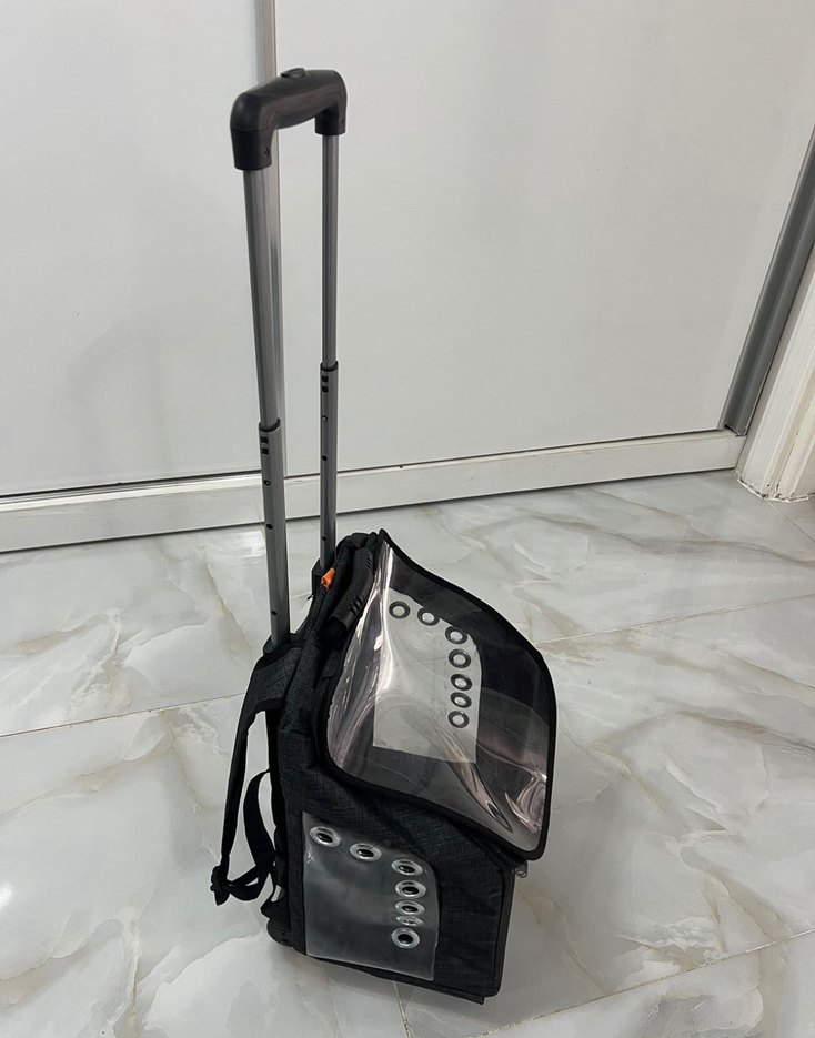 Şeffaf Kapaklı Tekerlekli Siyah Taşıma Çantası - Görsel 4
