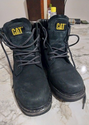 Cat 42