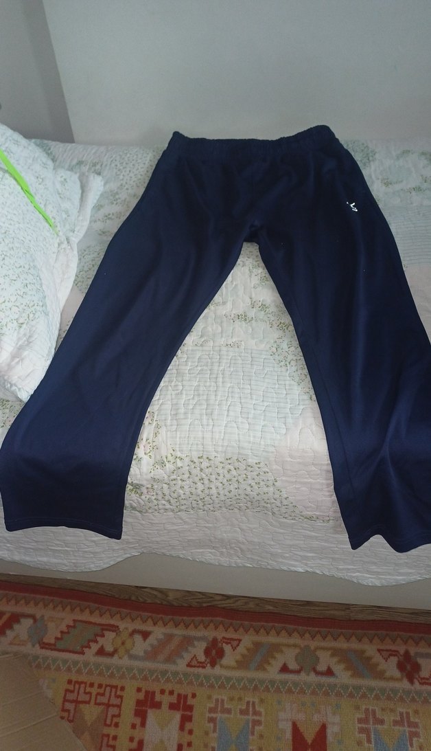 Mavi Rahat Kesim Erkek Eşofman Altı - Görsel 4